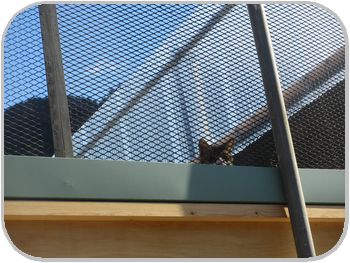 IMG_1163