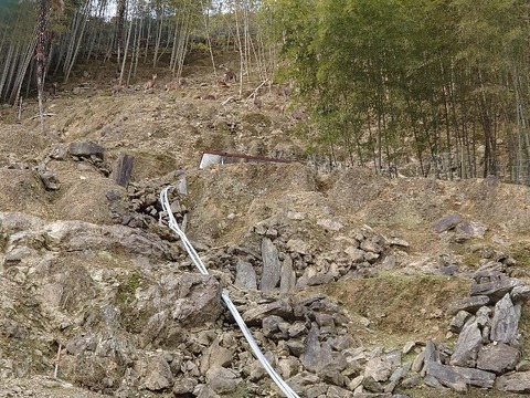 DSC_2836_copy_800x600