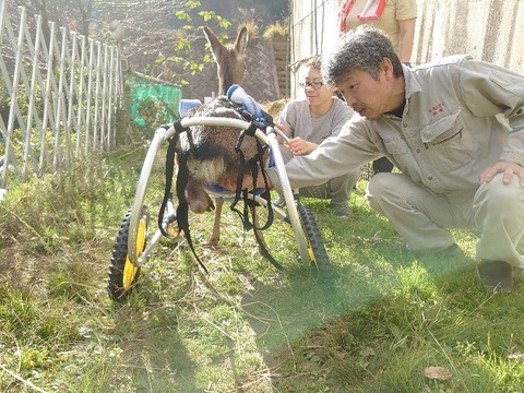 DSC_1554_copy_800x600