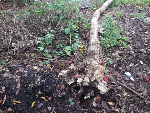 20221013_085527_copy_800x600