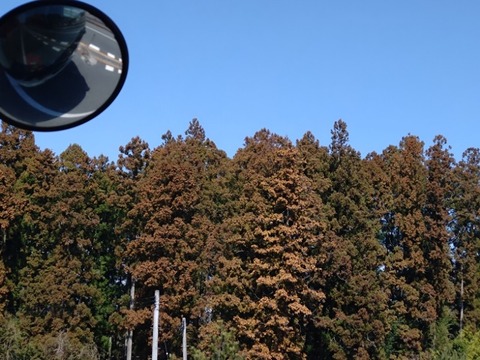 20260311_110859_copy_800x600