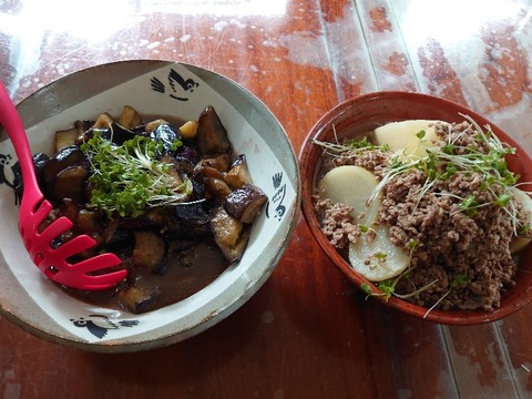 DSC_1715_copy_800x600