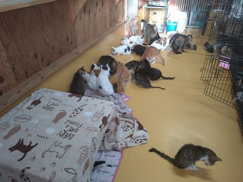 20260103_081728_copy_800x600