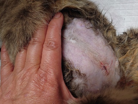 DSC_5973_copy_800x600