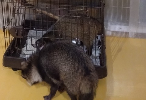 20260301_072718_copy_800x550