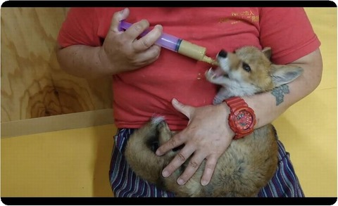 Screenshot_20230612-184303_copy_1080x659