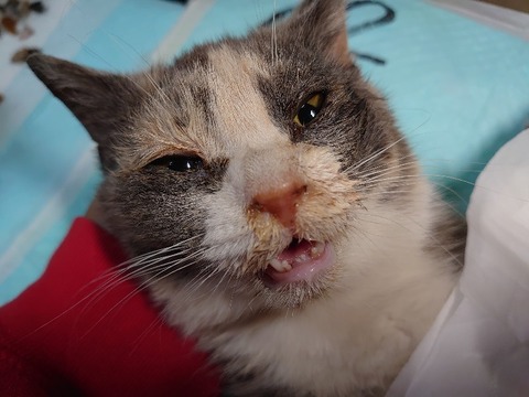 DSC_4224_copy_800x600