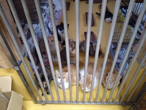 20251103_071628_copy_800x600