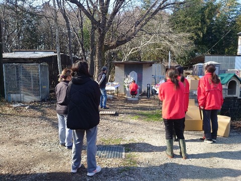 20240311_143501_copy_800x600