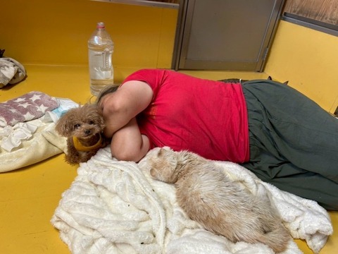 1761302293573_copy_738x554