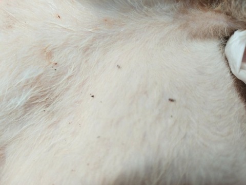 20250702_114147_copy_800x600