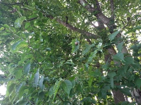 20260710_152558_copy_800x600