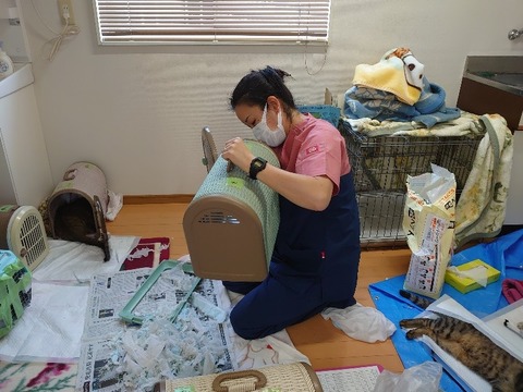 DSC_0615_copy_800x600