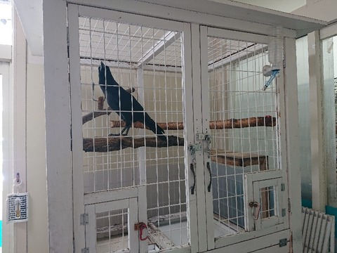 DSC_6888_copy_800x600