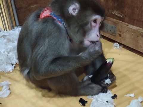 20251212_202646_copy_816x612