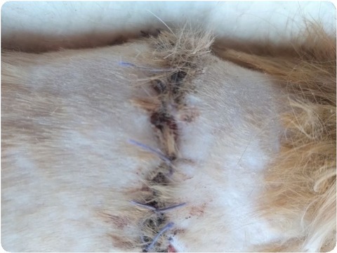 20250112_095729-EDIT