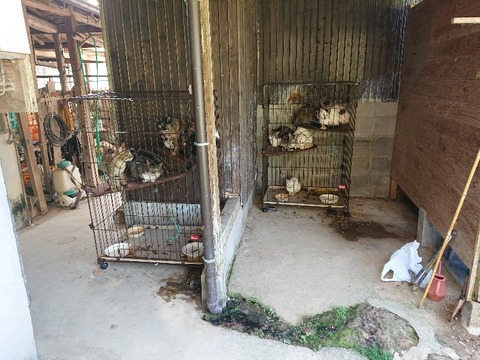 DSC_6326_copy_800x600