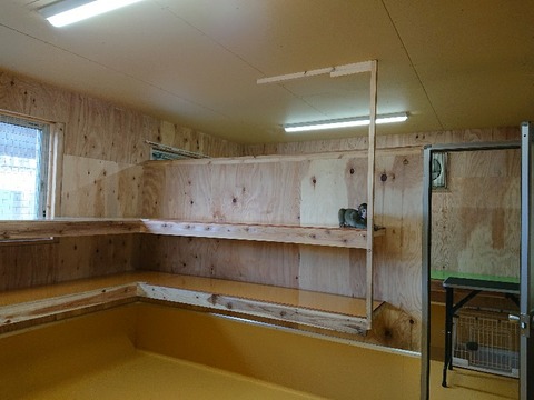 DSC_5863_copy_800x600