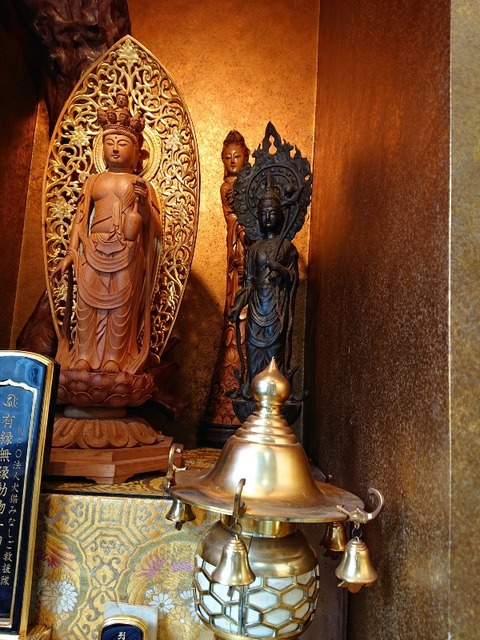 DSC_5681_copy_600x800