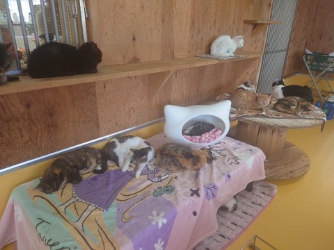 20240302_140518_copy_800x600