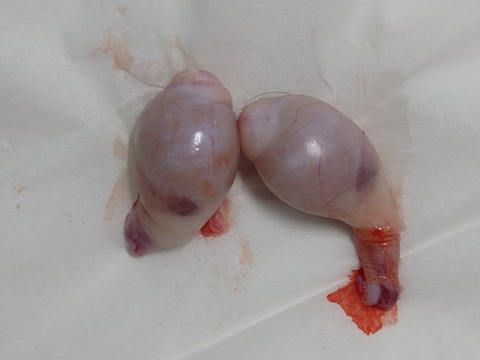 20260310_153855_copy_800x600