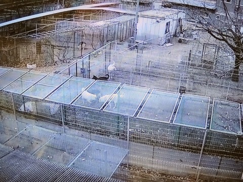 20260208_162404~2_copy_800x600