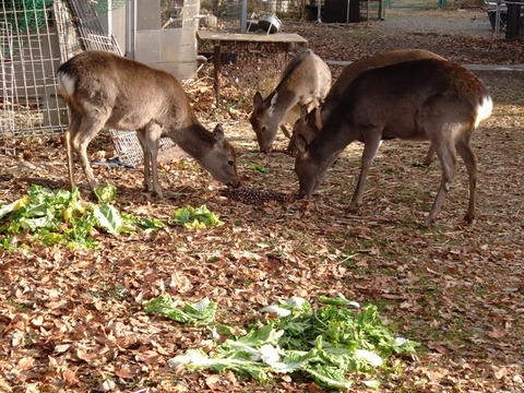 20260102_090247_copy_816x612