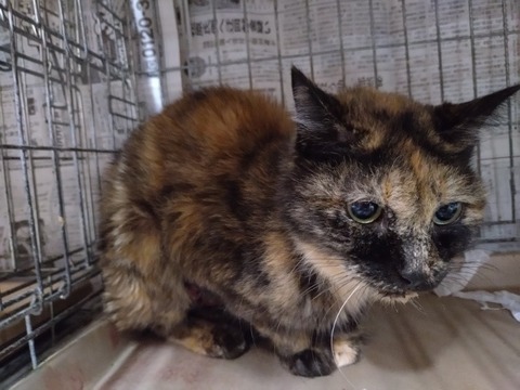 20260108_175721_copy_800x600_1