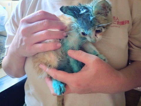 20251025_094053_copy_800x600~2