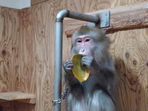 20260301_072109_copy_800x600