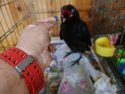 20220714_174028_copy_800x600