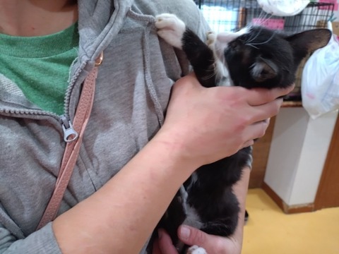 20260129_111422_copy_800x600