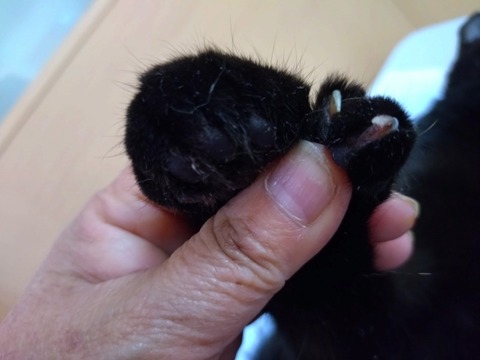 20251224_135848_copy_800x600