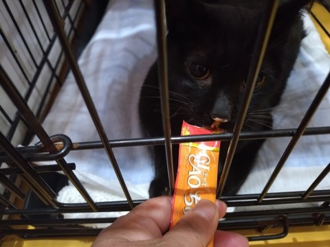 20250925_075510_copy_800x600