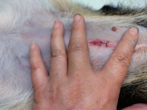 20251216_131236~2_copy_800x600