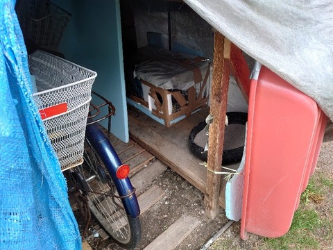 DSC_5697_copy_800x600