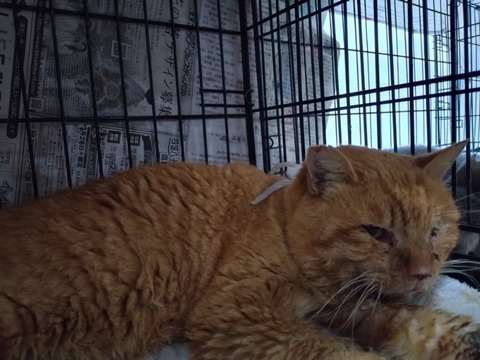 20260227_102432_copy_800x600