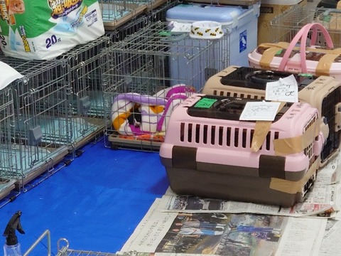 DSC_1767_copy_800x600