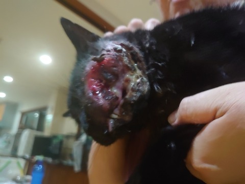 DSC_1659_copy_800x600