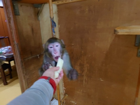 20230223_073354_copy_800x600