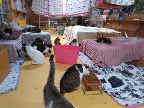 20260116_193954_copy_800x600