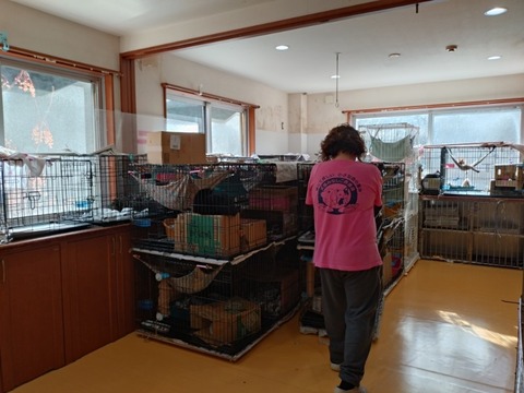 20260226_155901_copy_800x600