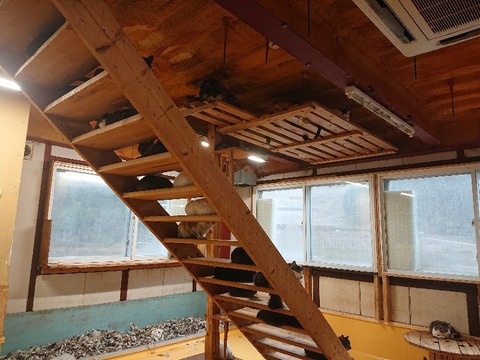 DSC_6384_copy_800x600