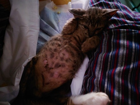 20221010_145919_copy_800x600