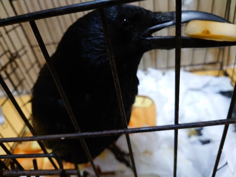 20230301_082722_copy_800x600