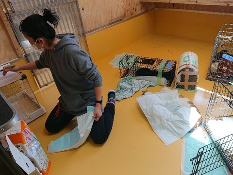 DSC_5726_copy_800x600