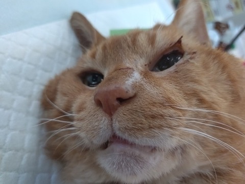 20240521_103827_copy_800x600