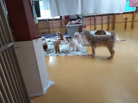 20260130_085554_copy_800x600