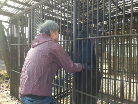 20260206_095039_copy_800x600