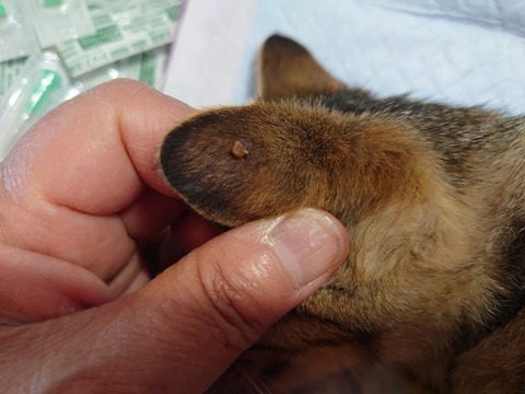 DSC_5677_copy_800x600